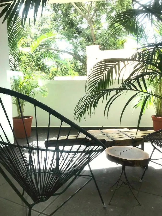 Playa Del Carmen // Suites Colibri 0*, 普拉亚卡门