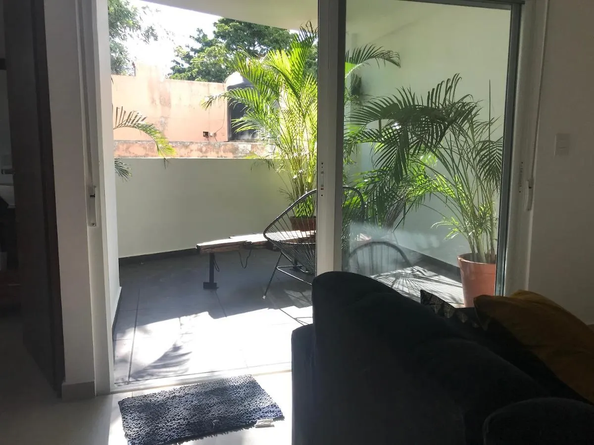 Playa Del Carmen // Suites Colibri 墨西哥