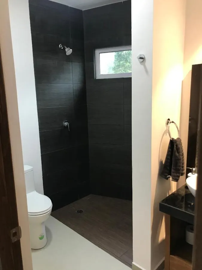 Playa Del Carmen // Suites Colibri 公寓 普拉亚卡门